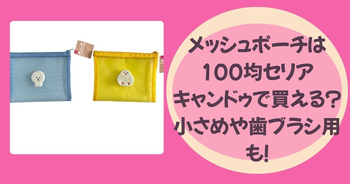 メッシュポーチのアイキャッチ